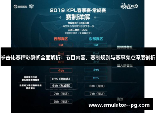 拳击比赛精彩瞬间全面解析：节目内容、赛制规则与赛事亮点深度剖析