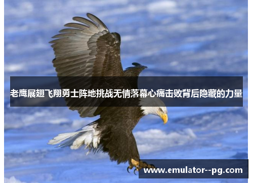 老鹰展翅飞翔勇士阵地挑战无情落幕心痛击败背后隐藏的力量